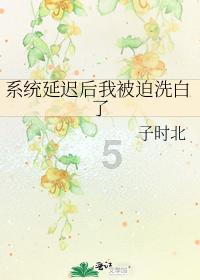 宝可梦探险寻宝